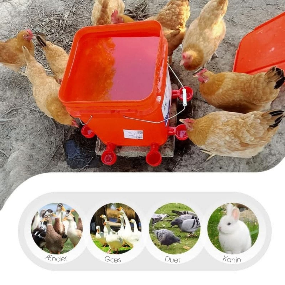 CluckCup™ - Selvfyldende drikkekopper til fjerkræ
